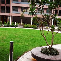 place