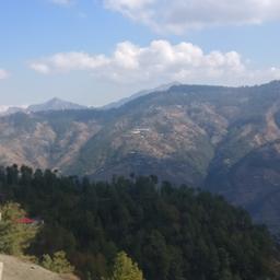 place