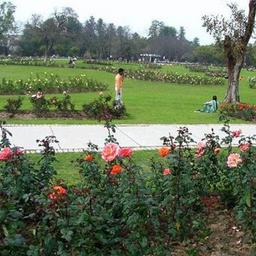 place