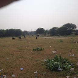 place