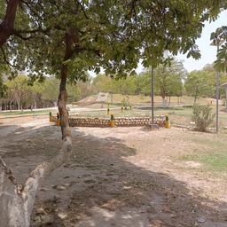 place