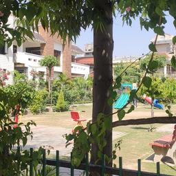 place