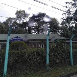 place