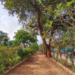 place