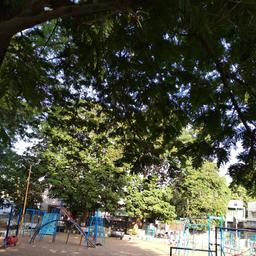 place