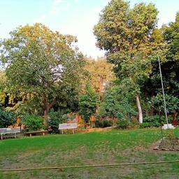 place
