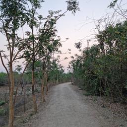 place