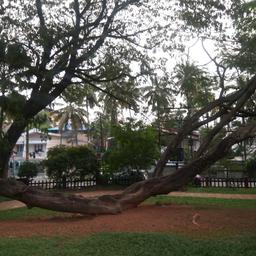 place