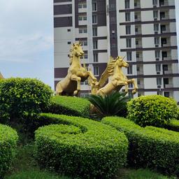 place