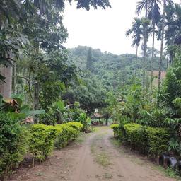 place