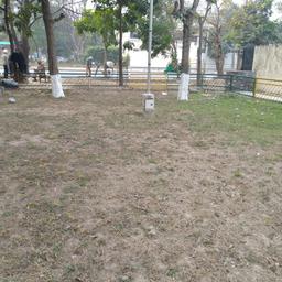 place