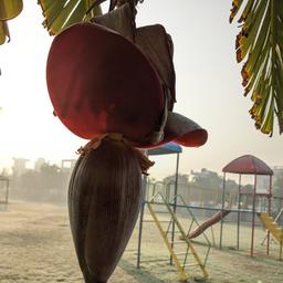place