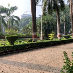 place
