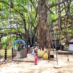 place