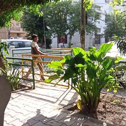 place