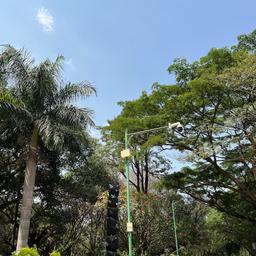 place