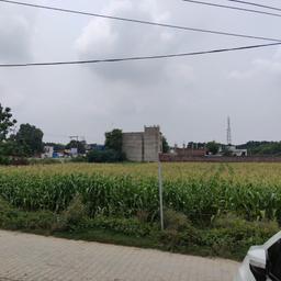 place