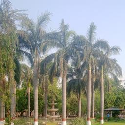 place
