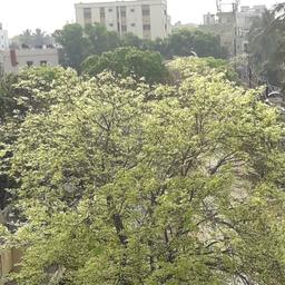 place