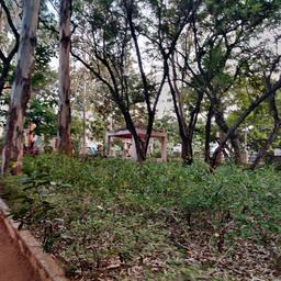 place