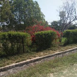 place