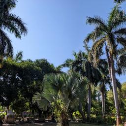place
