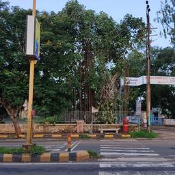 place