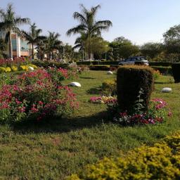 place