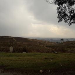 place