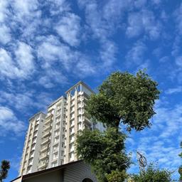 place