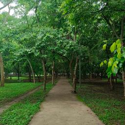 place