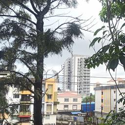 place