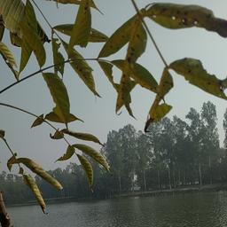 place