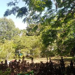 place