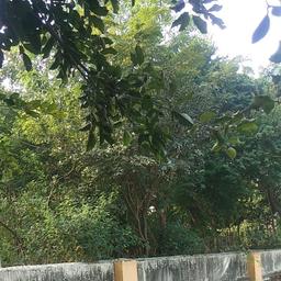 place