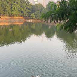place