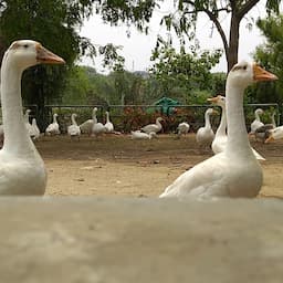 place