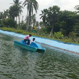 place