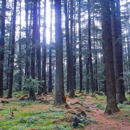 place