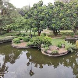 place
