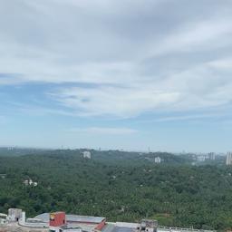place
