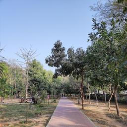 place