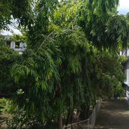place