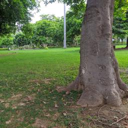 place
