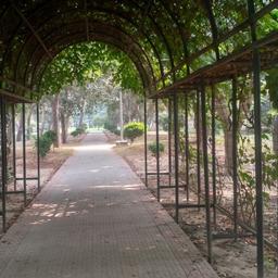 place