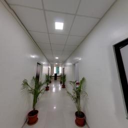 place