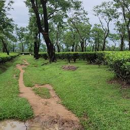 place