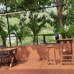 place