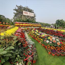 place