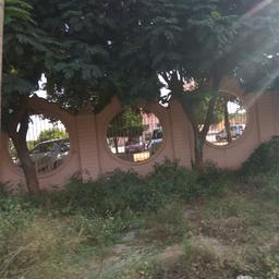 place